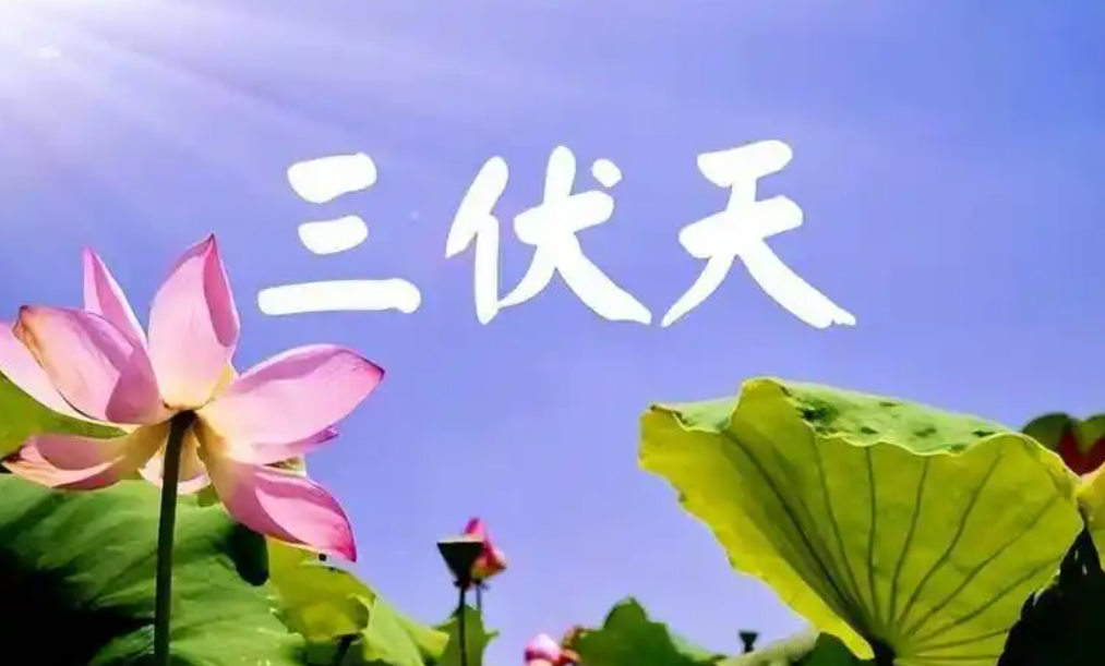 消暑清热四方案